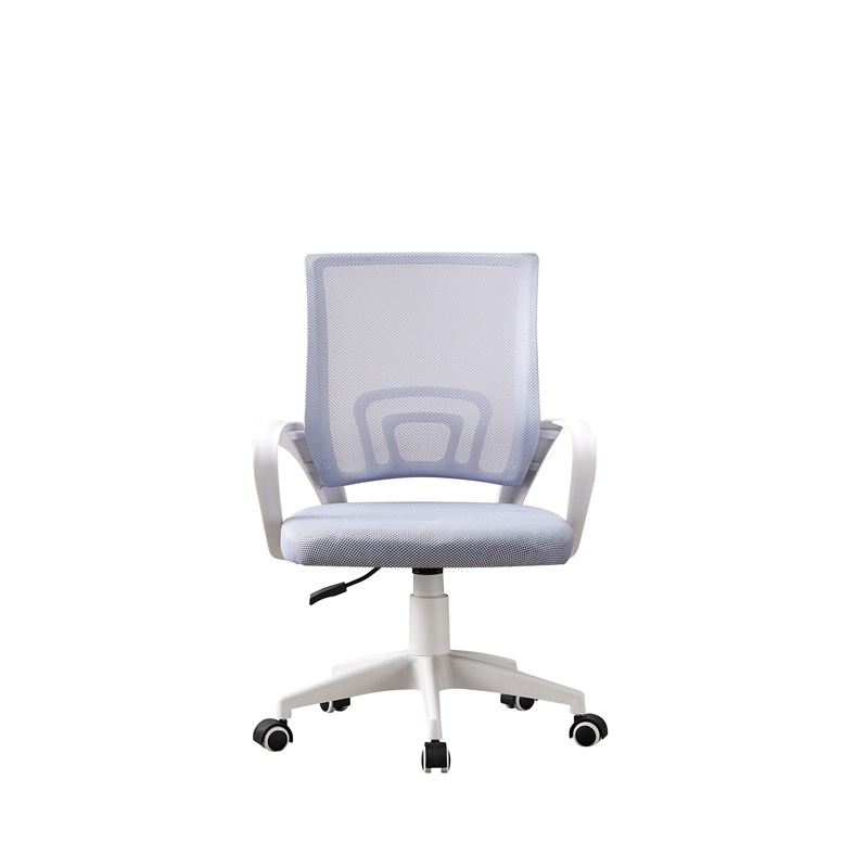 WR-S01N White
